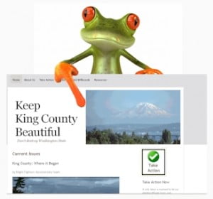 Leap Frog Group Does CMS Website for Non-profits